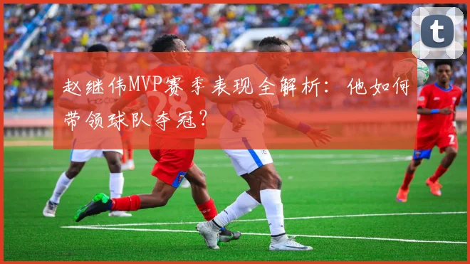 赵继伟MVP赛季表现全解析:他如何带领球队夺冠?
