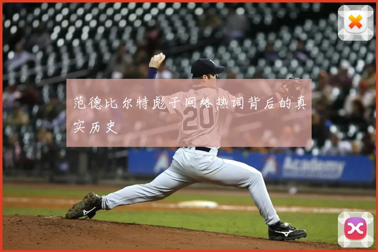 范德比尔特彪子网络热词背后的真实历史