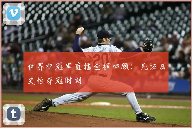 世界杯冠军直播全程回顾:见证历史性夺冠时刻